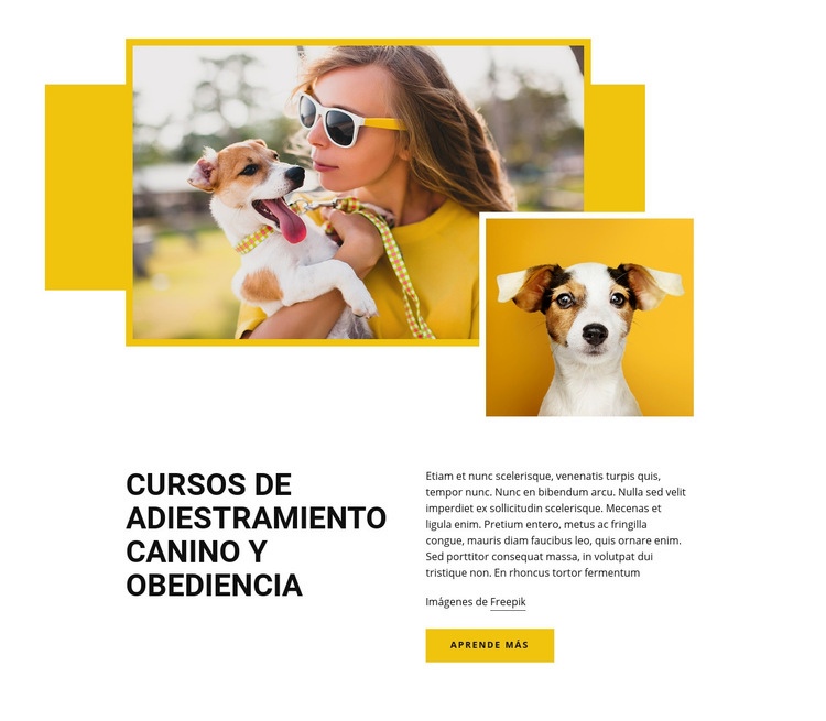 Cursos de formación de mascotas Plantillas de creación de sitios web