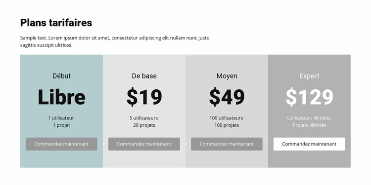 Plan tarifaire pour les entreprises Modèle Joomla