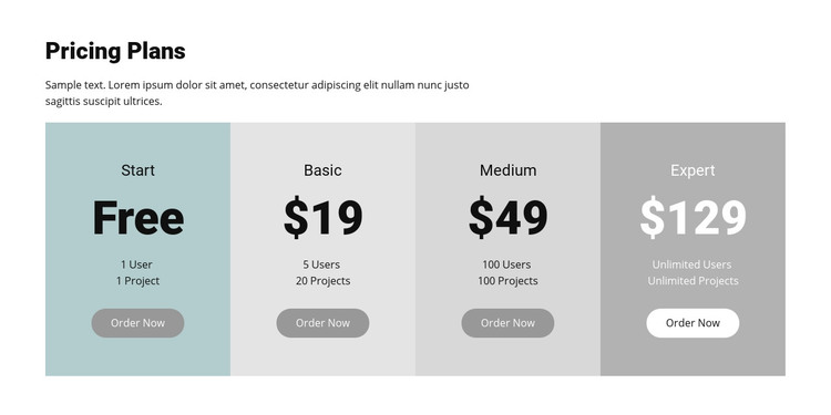 Pricing plan for business Homepage Design