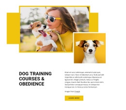 Pet Training Courses - Html Code