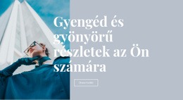 Szépségápolási Trendek Gyűjteménye Egyszerű CSS-Sablon