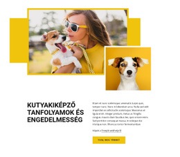 Ingyenes CSS Kisállat -Képzések Számára