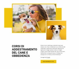 Corsi Di Addestramento Per Animali Domestici - Generatore Di Siti Web Scaricabile Gratuitamente