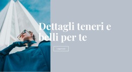 Raccolta Di Tendenze Di Bellezza: Design Semplice