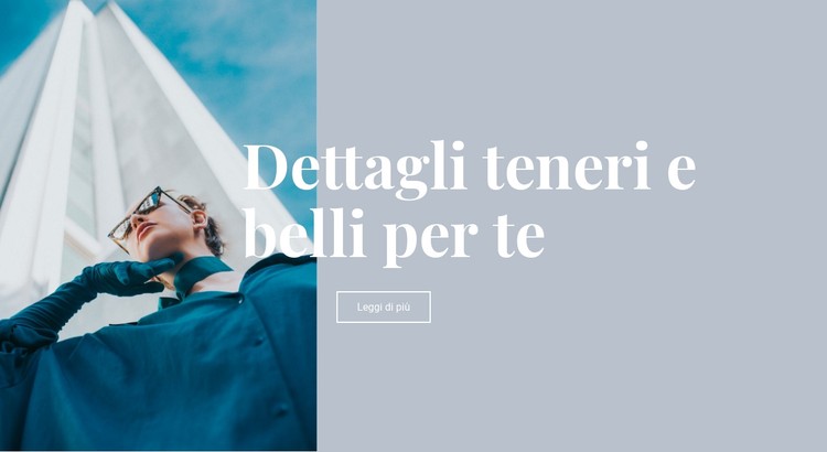 Raccolta di tendenze di bellezza Modello CSS