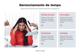 Fontes De Gerenciamento De Tempo - Tema WordPress