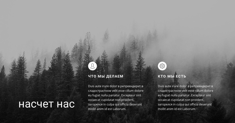 О бизнес-услугах HTML5 шаблон