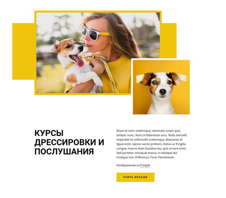 Курсы дрессировки домашних животных Мокап веб-сайта