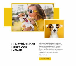 Djurutbildningskurser - WordPress & WooCommerce-Tema