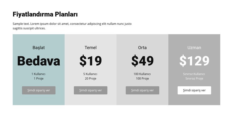 İşletmeler için fiyatlandırma planı Açılış sayfası