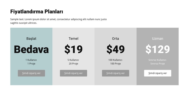 İşletmeler için fiyatlandırma planı CSS Şablonu