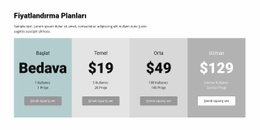 İşletmeler Için Fiyatlandırma Planı