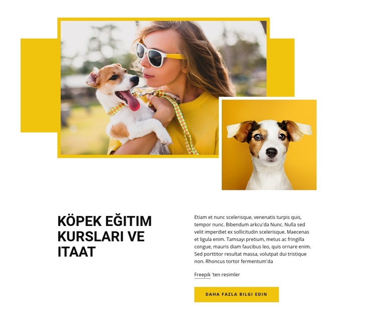 Evcil hayvan eğitim kursları Web Sitesi Mockup'ı