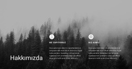 İşletme Hizmetleri Hakkında Için Web Sitesi Tasarımı