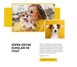 Evcil Hayvan Eğitim Kursları - WordPress Ve WooCommerce Teması