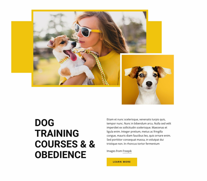 Pet training courses Web Page Design