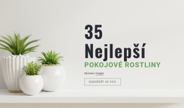 Sloupec Šablony Mřížky CSS Pro Had Pokojové Rostliny