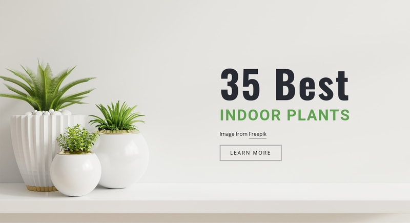 Snake indoor plants Elementor Template Alternative