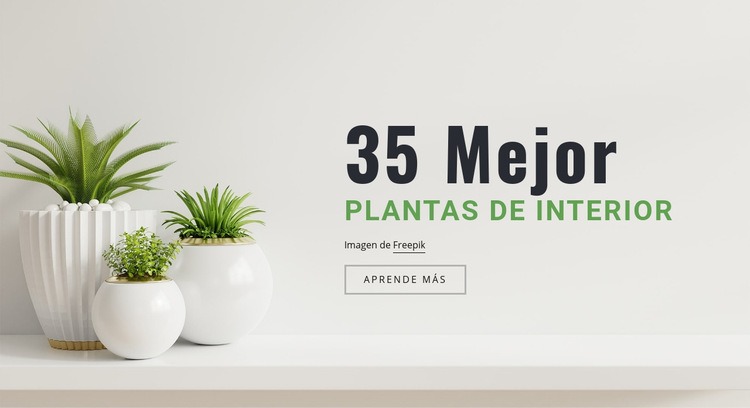 Plantas en interiorismo Creador de sitios web HTML