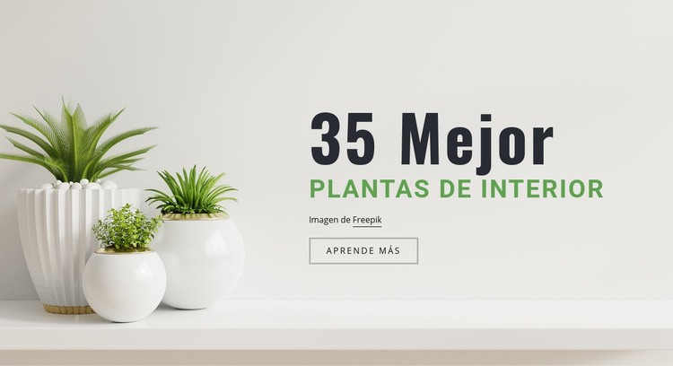 Plantas en interiorismo Maqueta de sitio web