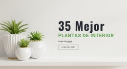 Columna De Plantilla De Cuadrícula CSS Para Plantas En Interiorismo