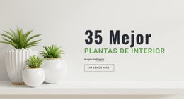 HTML5 Responsivo Para Plantas En Interiorismo