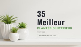 Plantes En Design D'Intérieur - Modèle De Page Web