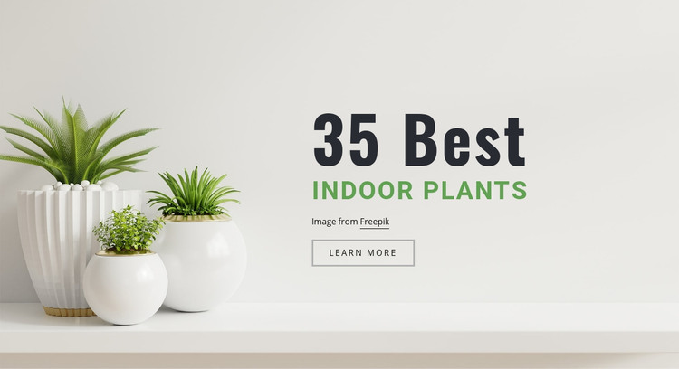 Snake indoor plants Homepage Design