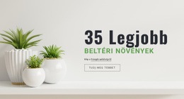 Kígyó Beltéri Növények - HTML Sablon Kód