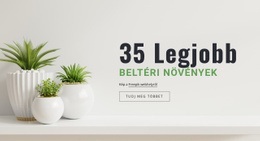 A Legkreatívabb Design A(Z) Kígyó Beltéri Növények Számára