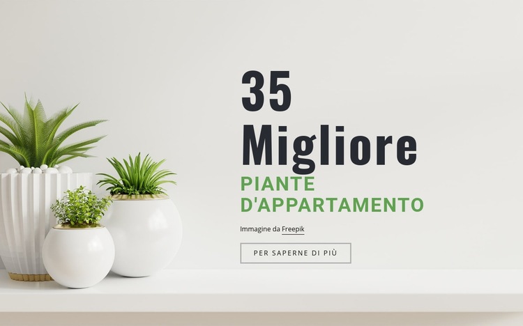 Piante nell'interior design Costruttore di siti web HTML