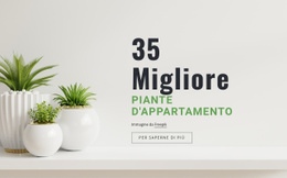 Piante Nell'Interior Design - Tema WordPress Pronto Per L'Uso