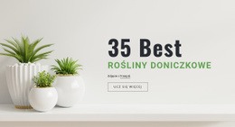 Rośliny W Aranżacji Wnętrz - Gotowy Do Użycia Motyw WordPress