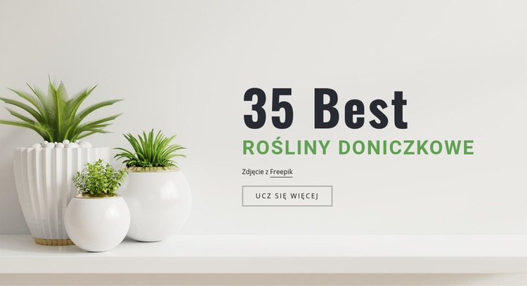 Rośliny w aranżacji wnętrz Motyw WordPress