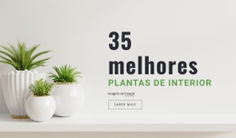 Plantas Em Design De Interiores - Maquete De Site Para Download Gratuito