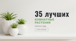 Растения В Интерьере – Код HTML-Шаблона