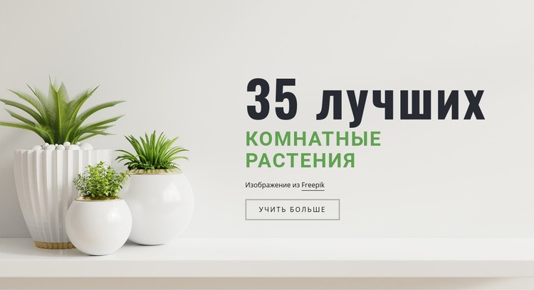 Растения в интерьере Шаблон Joomla