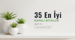 İç Tasarımdaki Bitkiler - HTML Şablon Kodu