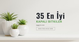 İç Tasarımdaki Bitkiler Için Duyarlı HTML5