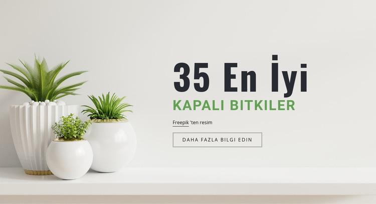 İç tasarımdaki bitkiler HTML5 Şablonu