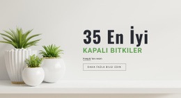 İç Tasarımdaki Bitkiler - Web Sayfası Şablonu