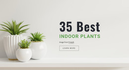 Snake Indoor Plants - Free Download Website Mockup