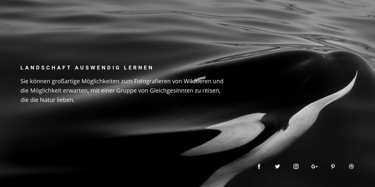 Naturerinnerungen Website design