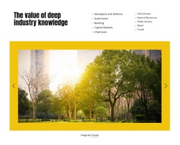 Business strategy and scopes - Html Code Example by Nicepage