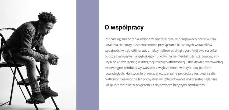 O przedsiębiorcy Motyw WordPress