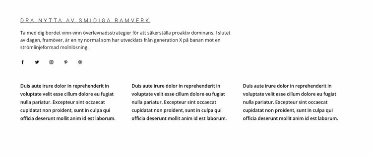 Rubriker och text med social kontakt CSS -mall