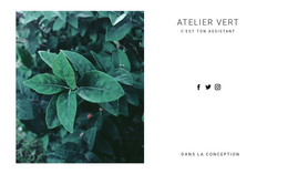 Conception De Pages HTML Pour Plante Nature Verte