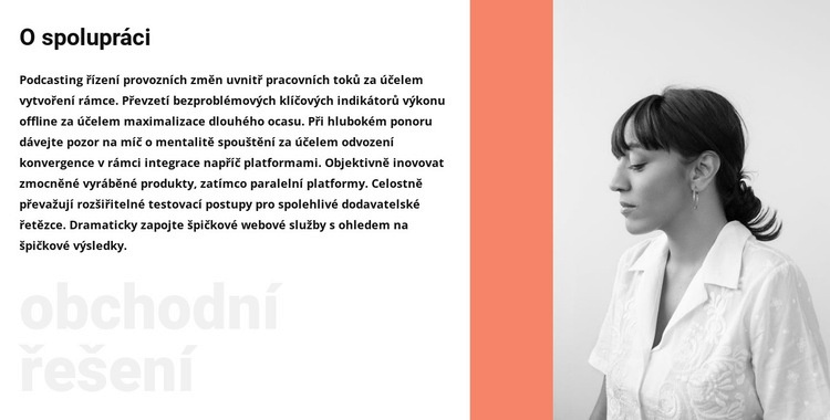 O obchodní ženě Šablona