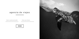 Buena Agencia De Viajes - Tema De WordPress