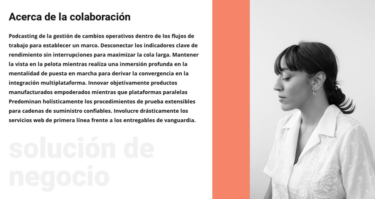 Acerca de la mujer de negocios Tema de WordPress